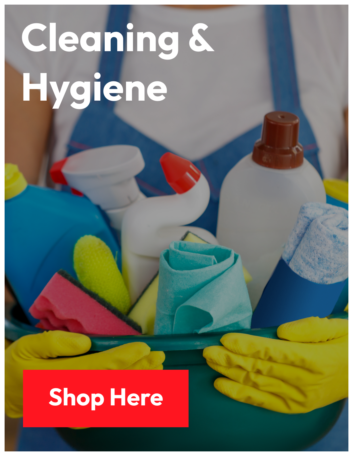 cleaning supplies